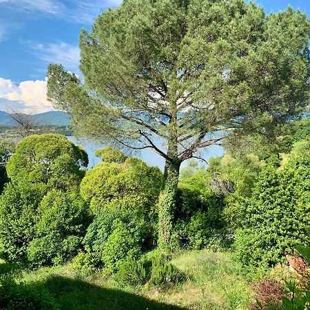Villa Del Lago Barberino di Mugello Exteriér fotografie