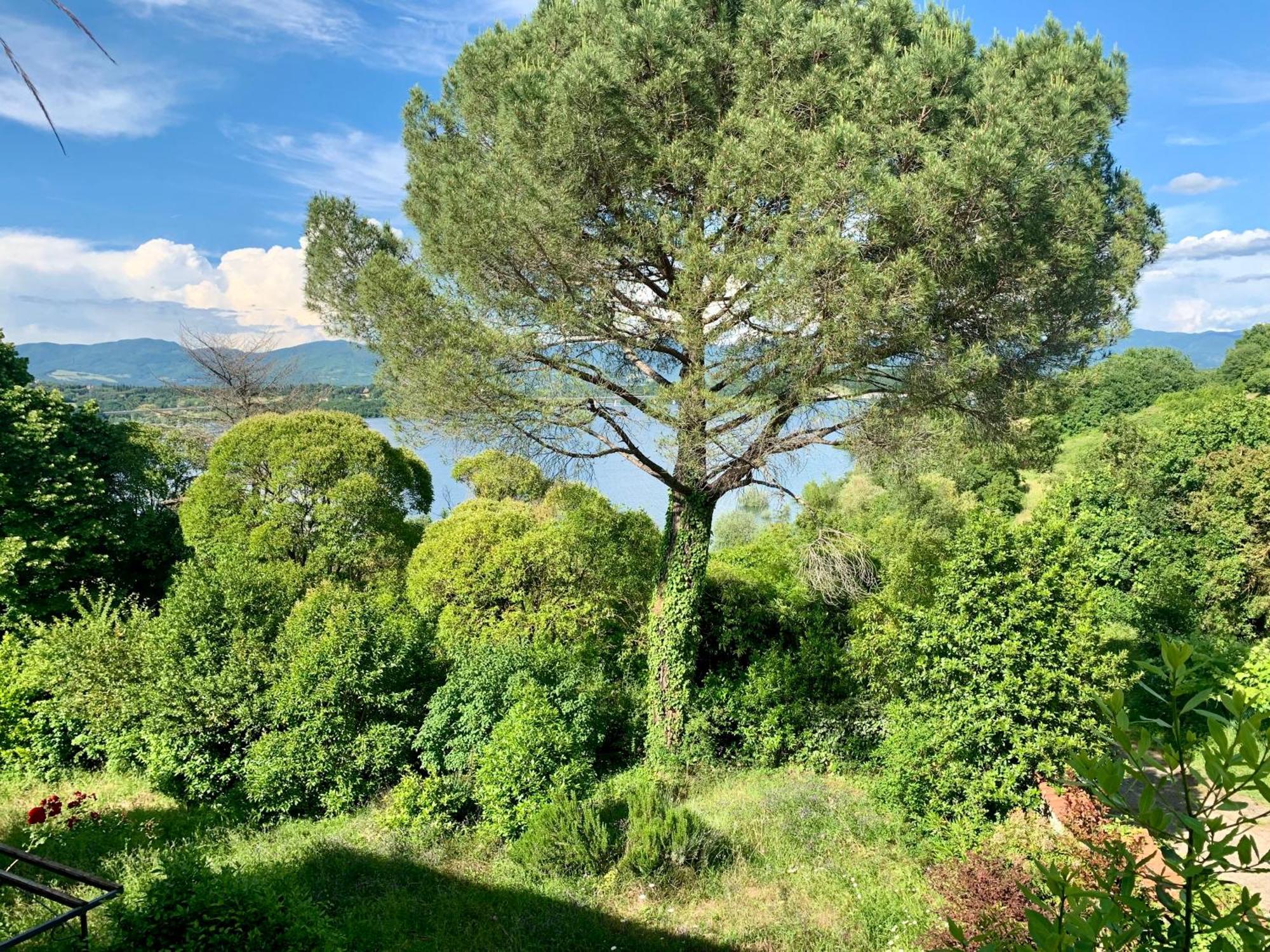 Villa Del Lago Barberino di Mugello Exteriér fotografie